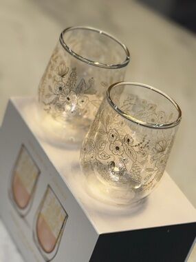 Rifle Paper Co & Corkcicle Set of 2 Insulated Double Walled Glass Wine Glasses.